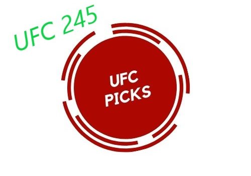 UFC 245 Picks