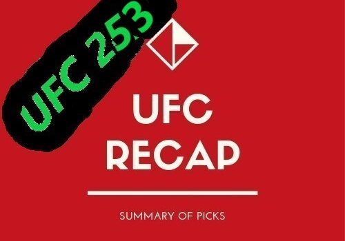 What happened at UFC 253?