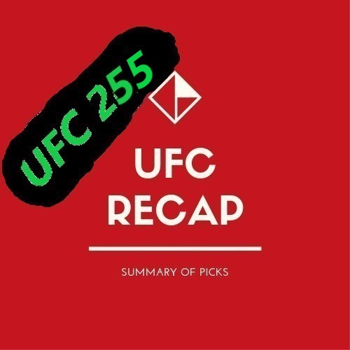 What Happened At UFC 255? - Unbroken MMA